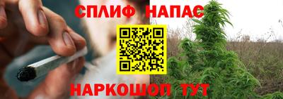 МДПВ Волгодонск