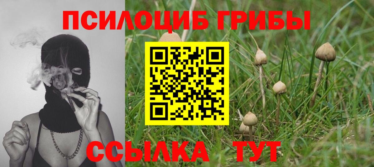 Псилоцибиновые грибы ЛСД  Псилоцибиновые грибы мухоморы  купить наркотики сайты  Кемерово 