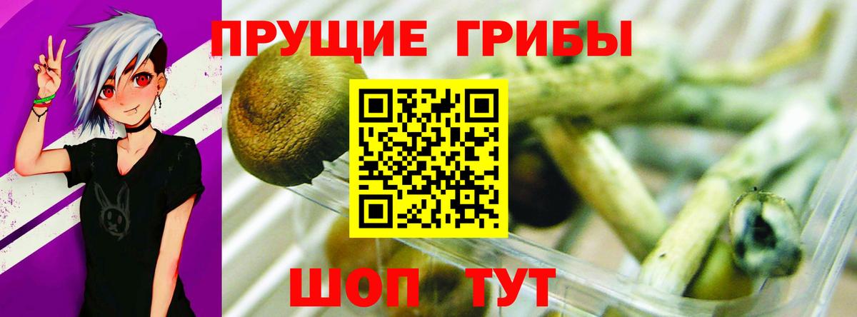где купить наркотик  Галлюциногенные грибы прущие грибы  Вход с VPN  Кемерово 