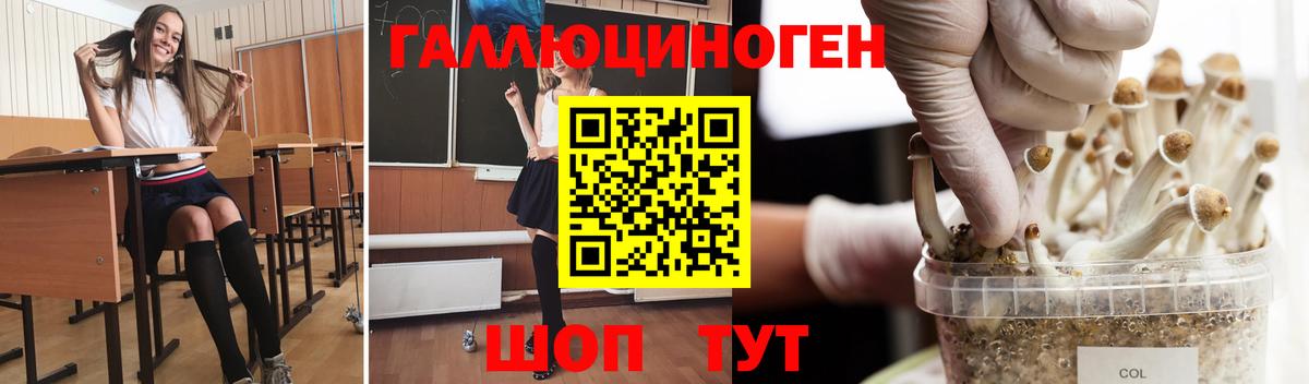 Псилоцибиновые грибы Psilocybe Кемерово